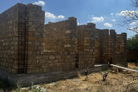 Домус