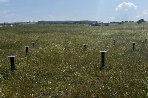 Домус