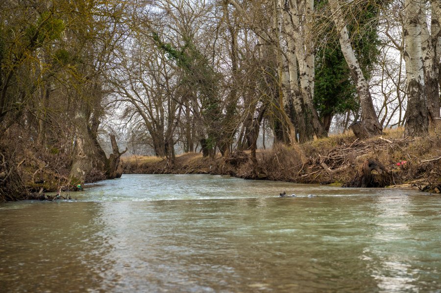 Коса погода сегодня. Новая коса Дагестан. Село Дальнее Крым. Село Дальнее Севастополь. Дагестанские косы.