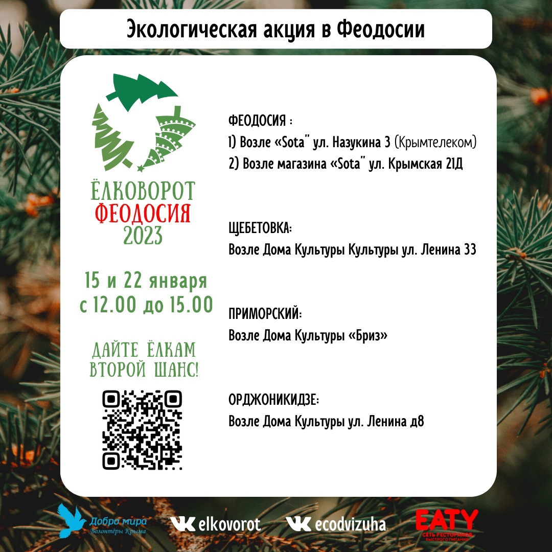 Как с пользой утилизировать новогоднюю елку в Крыму - точки сбора |  09.01.2023 | Севастополь - БезФормата